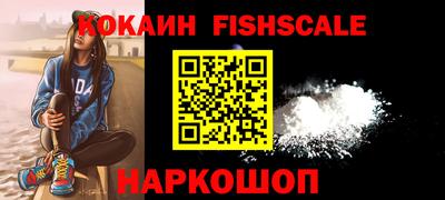 крисы Гай