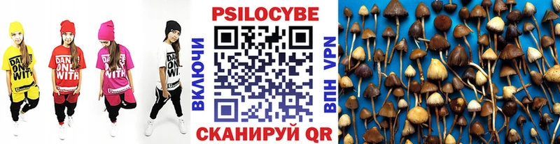 Псилоцибиновые грибы Psilocybine cubensis  Нефтеюганск 
