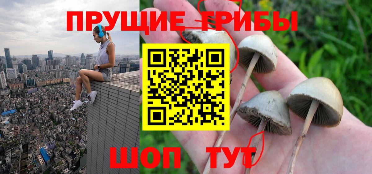 Псилоцибиновые грибы Cubensis Нефтеюганск